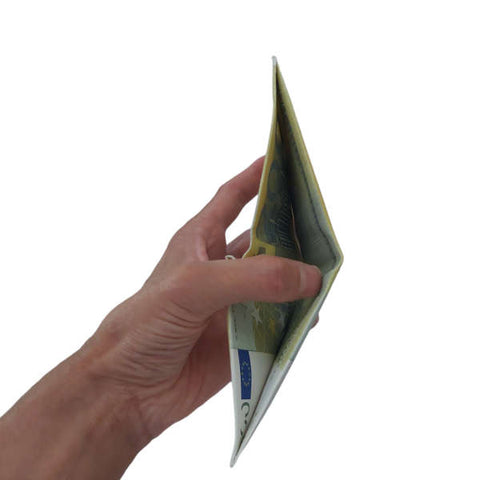 Mini denarnica z motivom evrskega bankovca za 200 Mini denarnica z motivom evrskega bankovca za 200